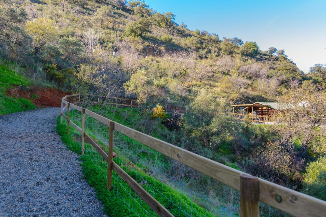 Complejo Rural El Mirador Guest House Malaga Ngoại thất bức ảnh